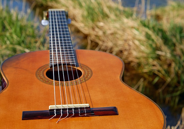 Musical Instruments, Guitars